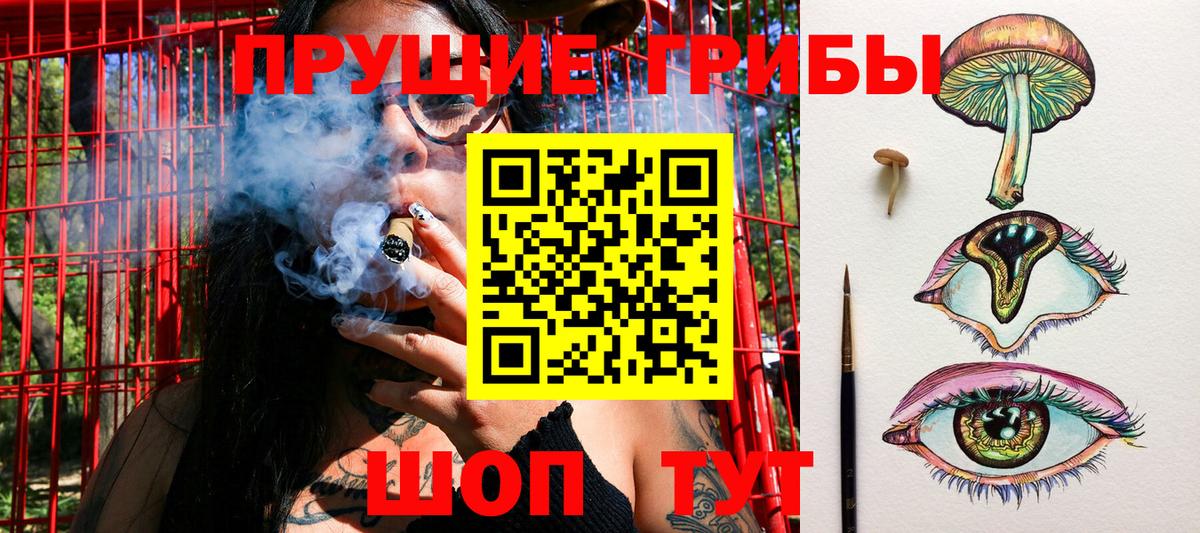 Псилоцибиновые грибы Cubensis  Псилоцибиновые грибы GOLDEN TEACHER  Вход с VPN  Новоалександровск 
